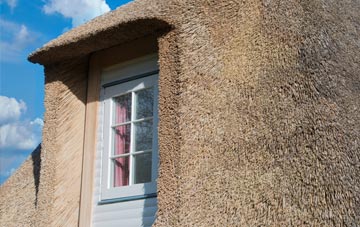 Afon Eitha thatch roof disadvantages