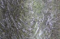 Afon Eitha fibreglass roof work